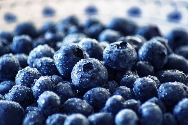 6 skin benefits of eating blue berries.