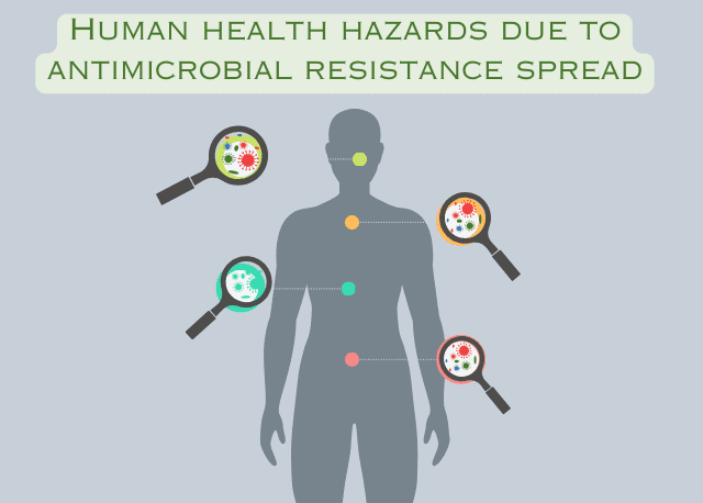 Human health hazards due to antimicrobial resistance spread