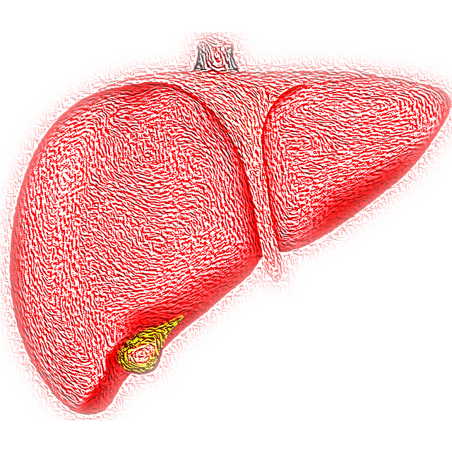 Is liver transplant free in Canada